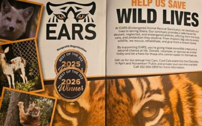 EARS Wins Best of 352 Gold Award for Second Consecutive Year